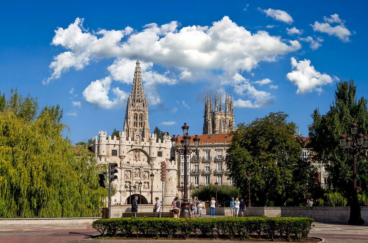 La catedral de Burgos entre árboles