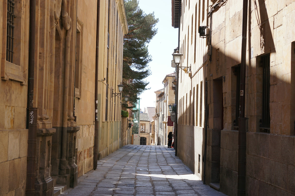 Una calle de piedra dorada en el centro de Salamanca