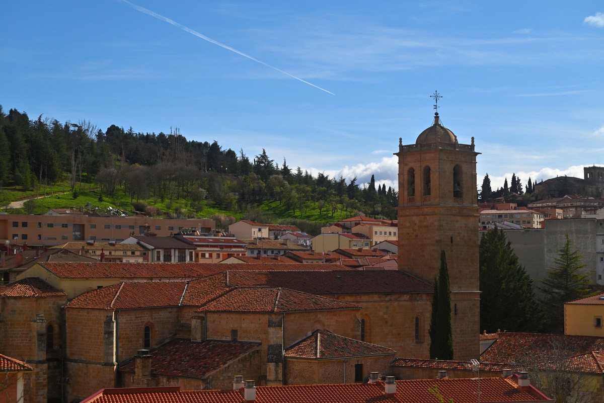 Los tejados de Soria con la torre de una iglesia y los cerros al fondo