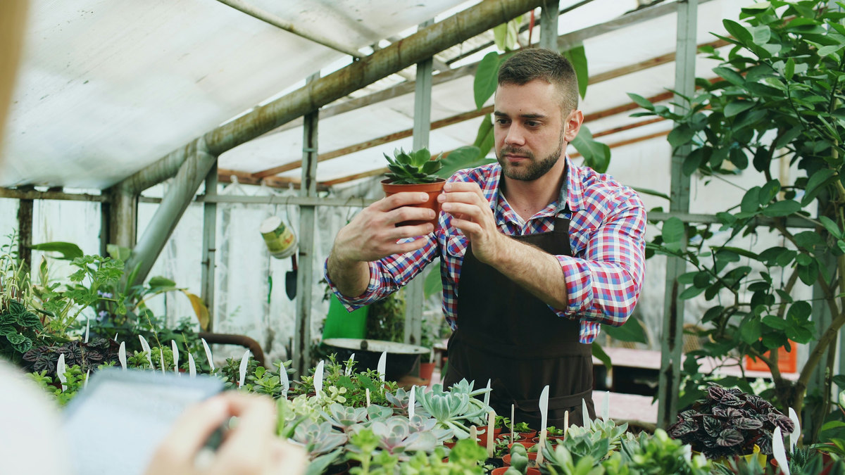 Dueño de un vivero entre sus plantas