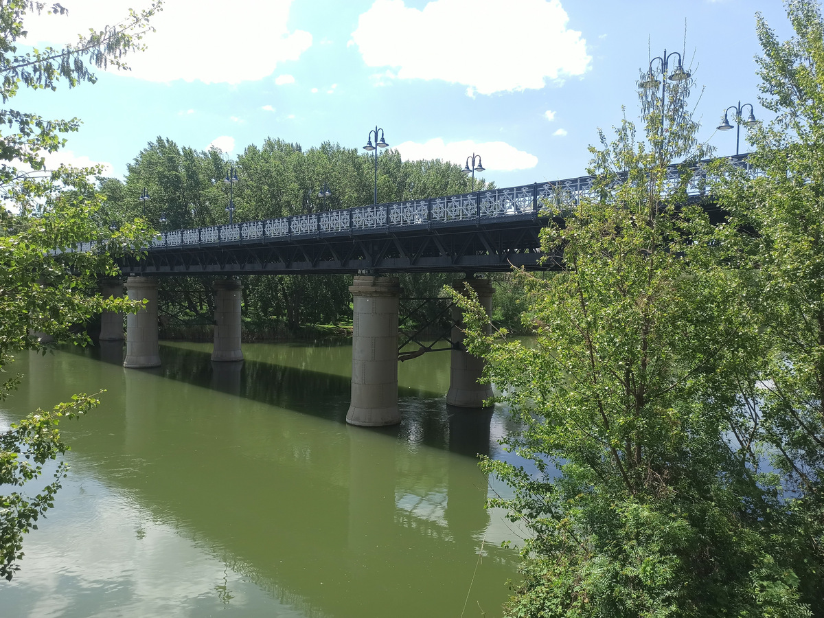 El Puente de Hierro de Logroño sobre el Ebro, con sus pilares de piedra y la arboleda de la orilla